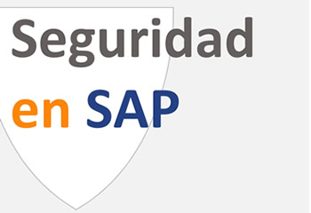 Seguridad SAP ➳ Virtual Forge!