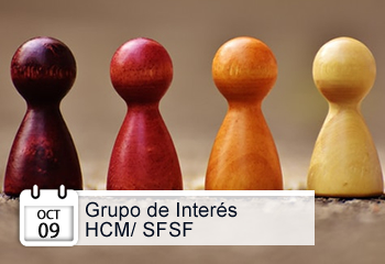 Grupo de Interés HCM/ SFSF