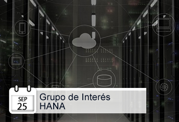 ENTREGANDO HANA Y EXTENDIENDO APLICACIONES SAP Y NO-SAP