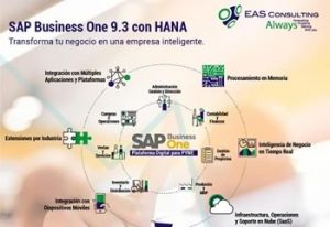 SAP Business One Eas Consulting