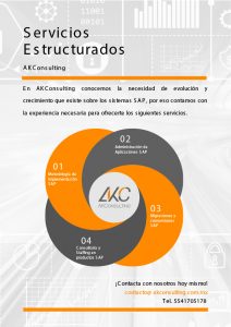 Servicios Estructurados, AK Consulting