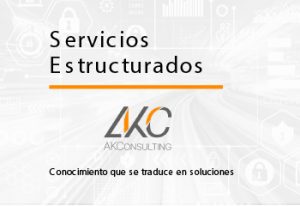 Servicios Estructurados, AK Consulting