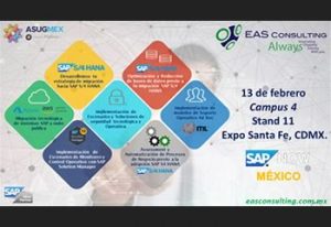 EAS Consulting en SAP Now