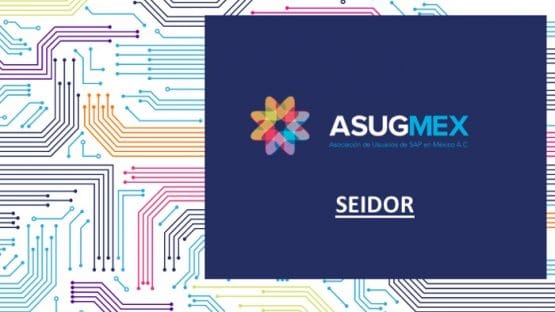SEIDOR