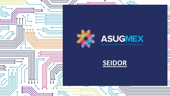 SEIDOR
