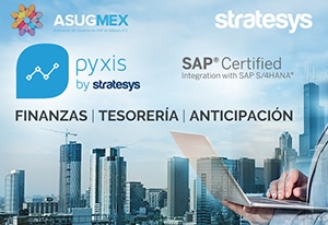 Pyxis, la solución definitiva para tu Tesorería sobre SAP