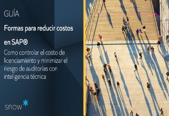 Guía: 5 Formas para reducir costos en SAP. Como controlar el costo de licenciamiento y minimizar el riesgo de auditorías con inteligencia técnica
