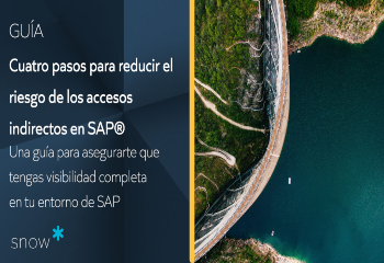 Guía: Cuatro pasos para reducir el riesgo de los accesos indirectos en SAP. Una guía para asegurarte que tengas visibilidad completa en tu entorno de SAP