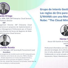 Grupo de interés Gestión de Proyectos – Las Reglas de Oro para Implementar SAP S/4HANA con una Mentalidad en la Nube: «The Cloud Mindset»