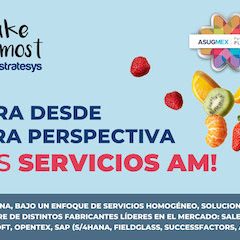 Make the Most’ – Flexibilidad y Personalización en los Servicios AM