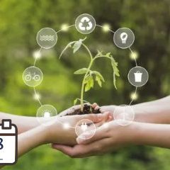 Economía Circular y el Diseño de Productos Sostenibles