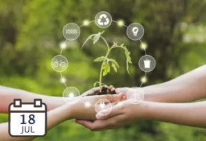 Economía Circular y el Diseño de Productos Sostenibles