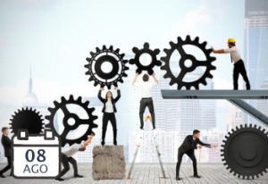 SAP S/4HANA Cloud, private edition: Roles & Responsabilidades