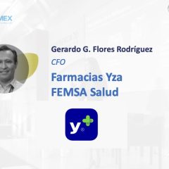 Gestión del Margen para la generación del valor del negocio – VISTEX