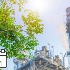 Sostenibilidad más allá de modas: el cálculo de la huella de carbono en el Grupo SAMCA