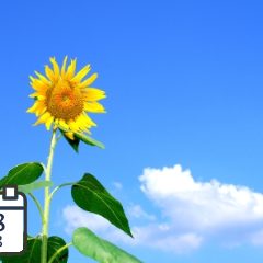 SAP Cloud ALM como herramienta en la operación de S4HANA