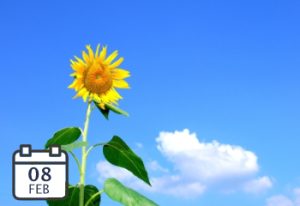 SAP Cloud ALM como herramienta en la operación de S4HANA
