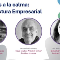 Del caos a la calma: Arquitectura Empresarial