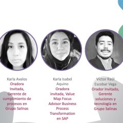 Herramientas rápidas de soporte para el día a día – Grupo de Interés de Enterprise Support