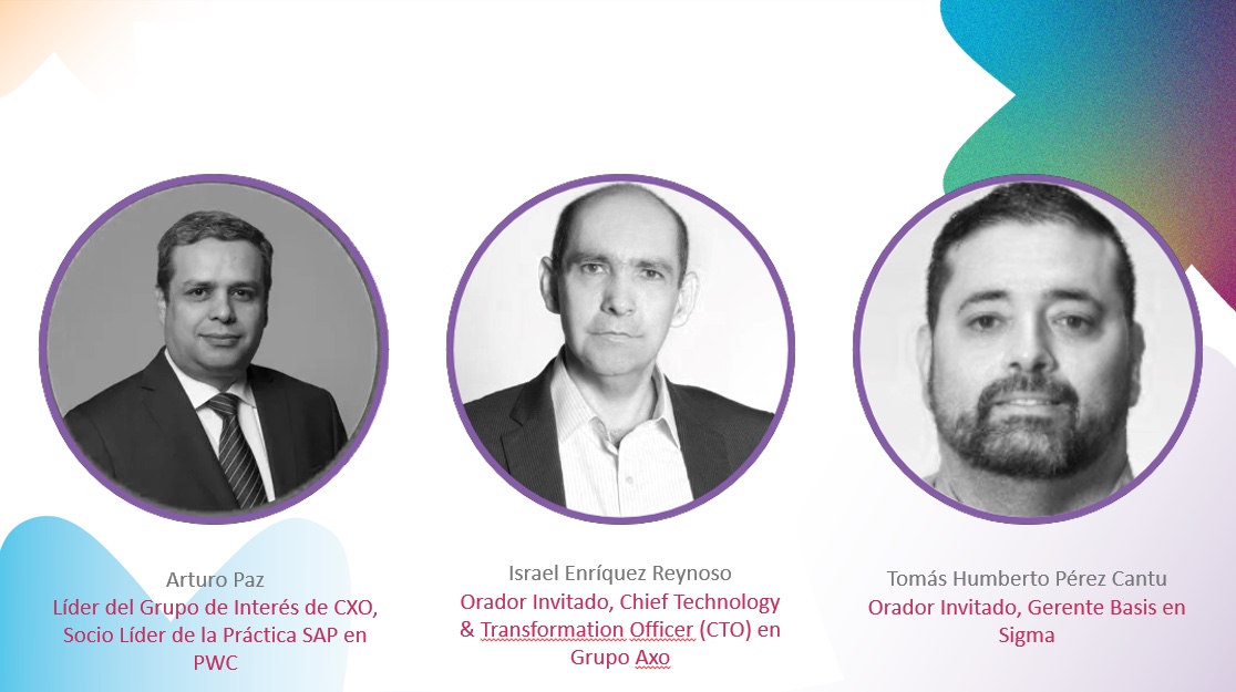 Guía Integral para evaluar proyectos de RISE with SAP: estrategias y mejores prácticas - Grupo de Interés de CXO