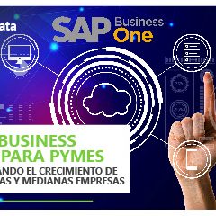 SAP Business One para Pymes: Acelerando el Crecimiento de Pequeñas y Medianas Empresas