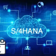 Acompañamiento para el lanzamiento de tu proyecto en RISE with SAP