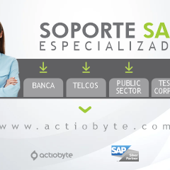 SOPORTE SAP ESPECIALIZADO