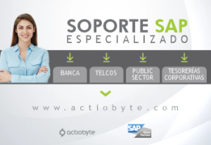 SOPORTE SAP ESPECIALIZADO