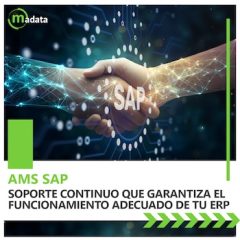 AMS SAP: Soporte Continuo que Garantiza el funcionamiento adecuado de tu ERP
