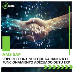 AMS SAP: Soporte Continuo que Garantiza el funcionamiento adecuado de tu ERP