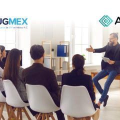Estudio de Piedras Angulares y Riesgos en Proyectos de Transformación