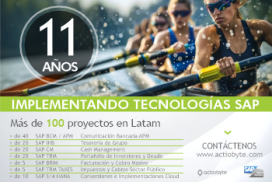 11 AÑOS IMPLEMENTANDO TECNOLOGÍAS SAP - Más de 100 proyectos en Latam
