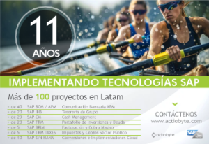 11 AÑOS IMPLEMENTANDO TECNOLOGÍAS SAP - Más de 100 proyectos en Latam