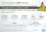 TÍTULO: ¿SU CONSULTORÍA SAP IMPULSA EL CRECIMIENTO ESTRATÉGICO DE SU EMPRESA? O SIMPLEMENTE SE MANTIENE A FLOTE