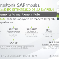 TÍTULO: ¿SU CONSULTORÍA SAP IMPULSA EL CRECIMIENTO ESTRATÉGICO DE SU EMPRESA? O SIMPLEMENTE SE MANTIENE A FLOTE