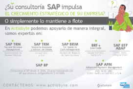 TÍTULO: ¿SU CONSULTORÍA SAP IMPULSA EL CRECIMIENTO ESTRATÉGICO DE SU EMPRESA? O SIMPLEMENTE SE MANTIENE A FLOTE