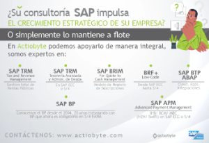 TÍTULO: ¿SU CONSULTORÍA SAP IMPULSA EL CRECIMIENTO ESTRATÉGICO DE SU EMPRESA? O SIMPLEMENTE SE MANTIENE A FLOTE