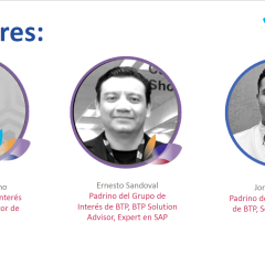 Grupo de Interés de BTP – Agentes Inteligentes en Acción: Innovación con SAP BTP