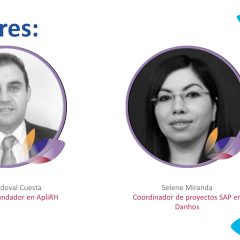 Redefiniendo la seguridad en SAP – Estrategias automatizadas de Segregación de Funciones​