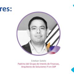 Grupo de Interés de Finanzas – La IA está transformando SAP Finanzas
