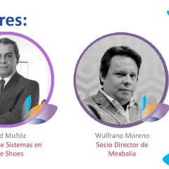 ¿Qué es más importante en un Proyecto de Implementación: La AI, el implementador o la integración?