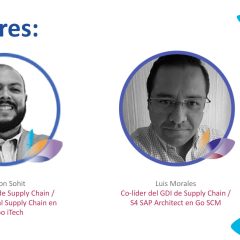 Grupo de Interés de Supply Chain – Recomendaciones y mejores prácticas en la cadena de suministro SAP