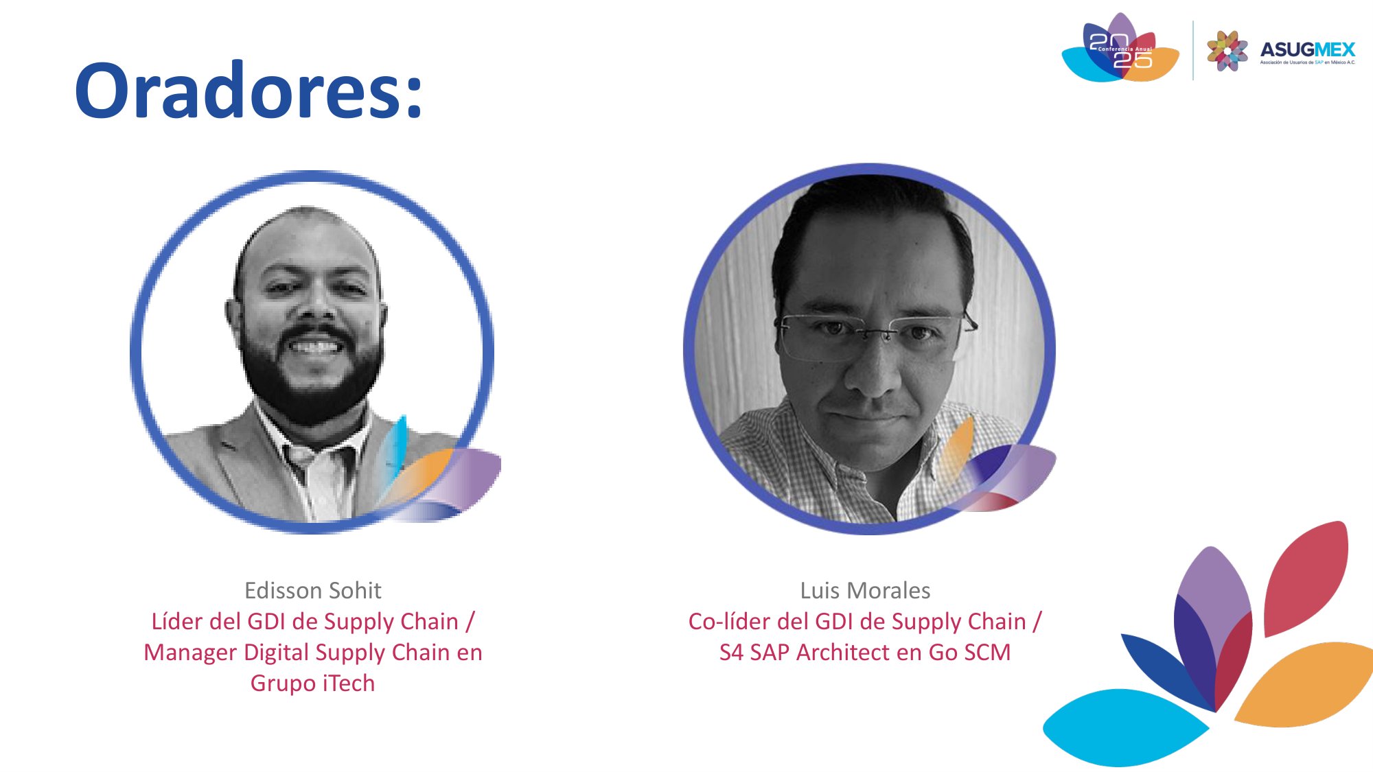 Grupo de Interés de Supply Chain - Recomendaciones y mejores prácticas en la cadena de suministro SAP
