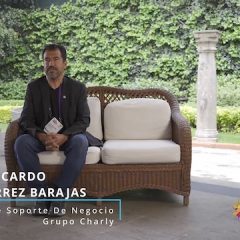 Luis Ricardo Gutiérrez Barajas / Gerente Soporte De Negocio Grupo Charly