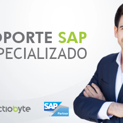SOPORTE SAP AVANZADO