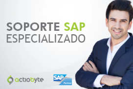 SOPORTE SAP AVANZADO