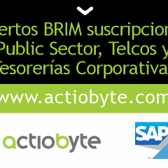 Expertos BRIM suscripciones, Public Sector, Telcos y Tesorerías Corporativas