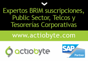 Expertos BRIM suscripciones, Public Sector, Telcos y Tesorerías Corporativas