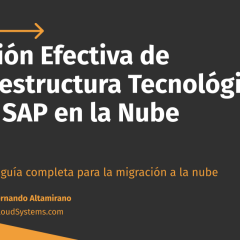 ¿Cuál ha sido su mayor reto al llevar SAP a la nube?