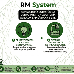CONSULTORÍA ESTRATÉGICA CONOCIMIENTO Y AUDITORÍA ÁGIL CON SAP S/HANA Y BTP